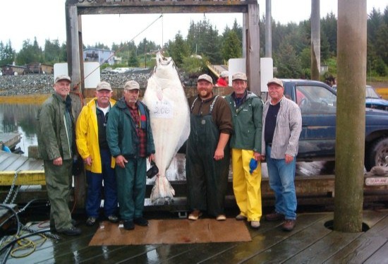 Guests posing with a huge halibut hung on the Coffman Cove dock