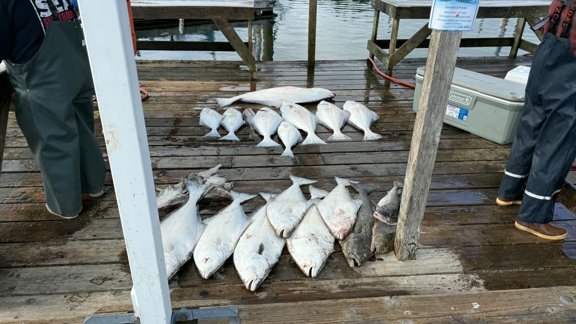 Full harbor cleaning station with halibut