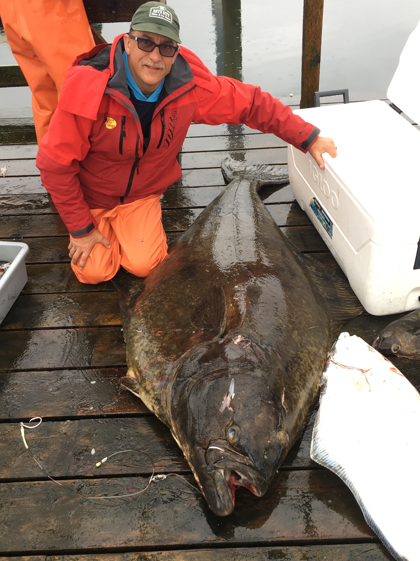Angler kneeling next to a massive Pacific halibut on the dock